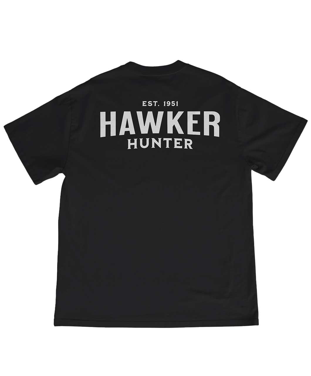 HawkerHUnter_01