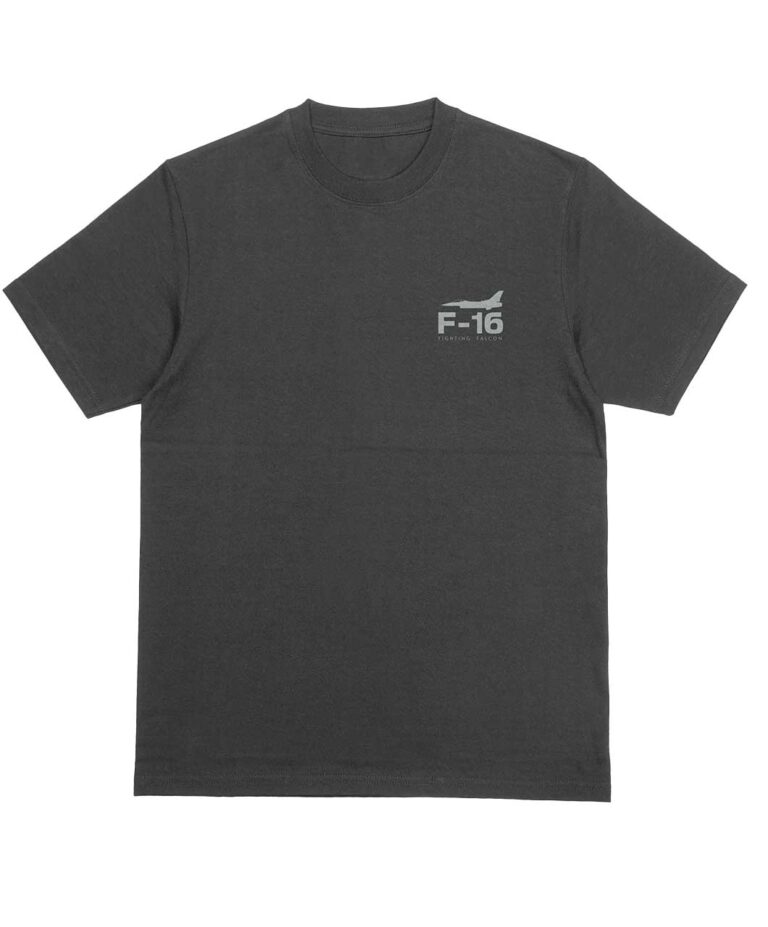 Polera F-16 Fighting Falcon Essentials gris vista frontal